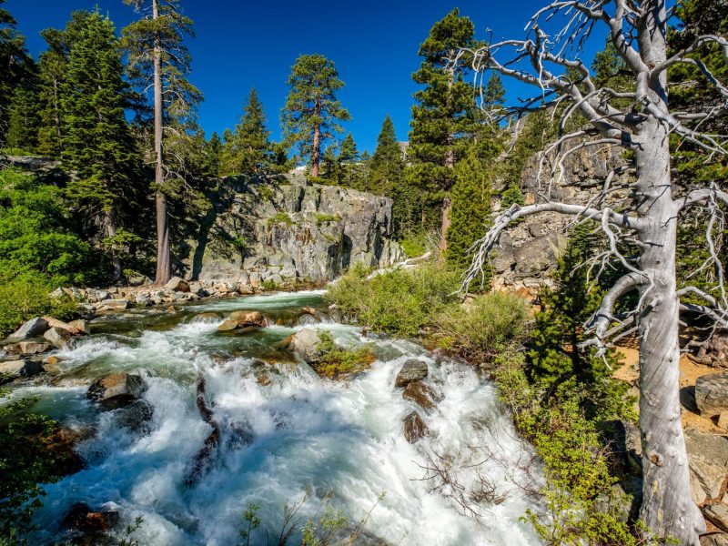 a large waterfall in a forest