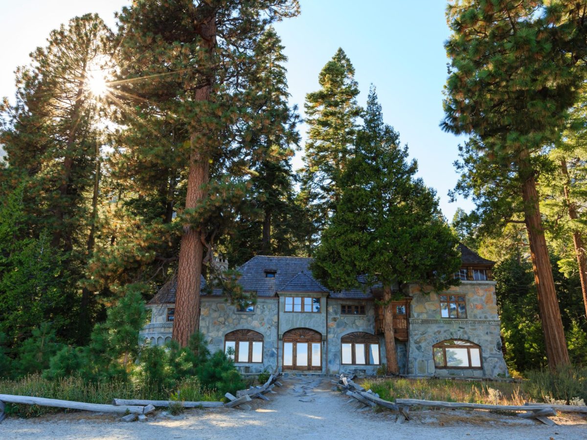 a small house in a tree