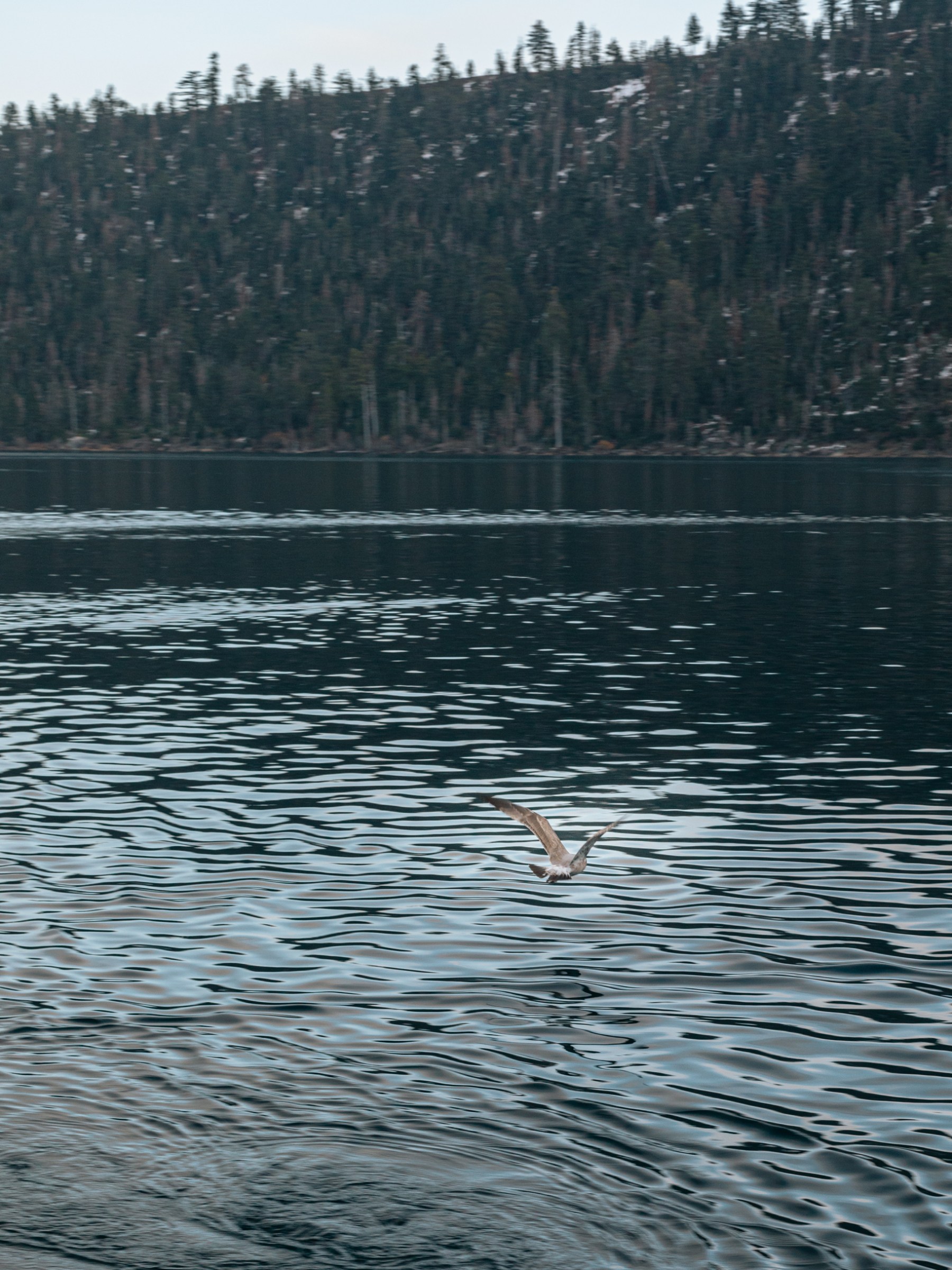 a large body of water